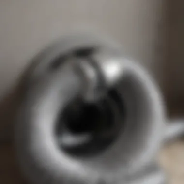 Clean dryer vent hose