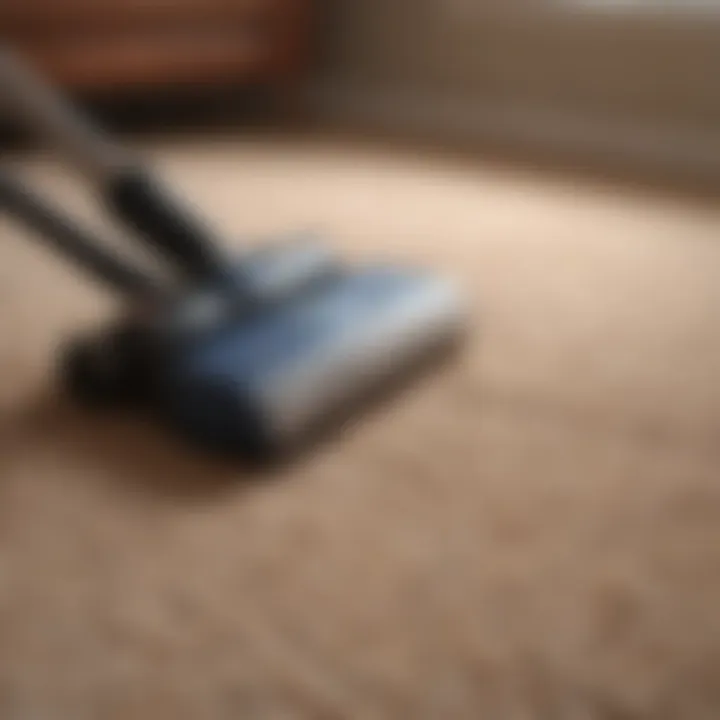 Essential tools for carpet cleaning