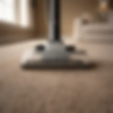 Professional carpet cleaning service in action