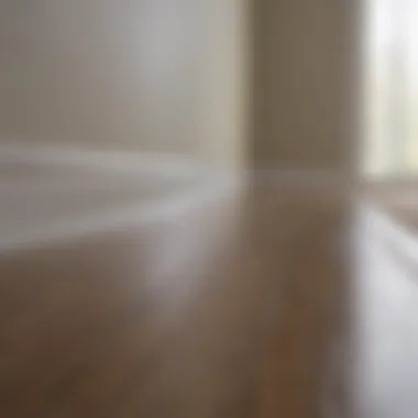 Polished Baseboard in a Modern Setting A clean and polished baseboard in a well-decorated living room
