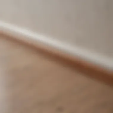 Diverse Baseboard Materials and Finishes Different types of baseboards showcasing materials and finishes