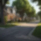 A picturesque suburban street lined with trees and charming homes