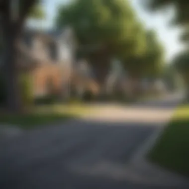 A picturesque suburban street lined with trees and charming homes