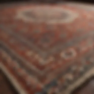 Close-up of a soft area rug with intricate patterns