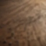 Close-up of a wooden surface showing ingrained dirt