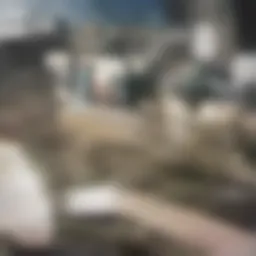 Legal requirements for rental background checks