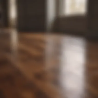 Polished hardwood floor reflecting light