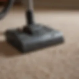 An array of professional carpet cleaning tools arranged neatly