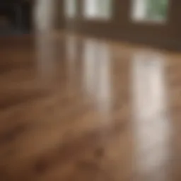 A pristine wood floor reflecting light
