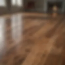 Natural wood floor reflection after cleaning