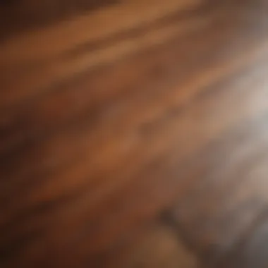 Close-up of stubborn stain on hardwood