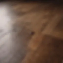 Close-up of a wooden floor with a stubborn stain