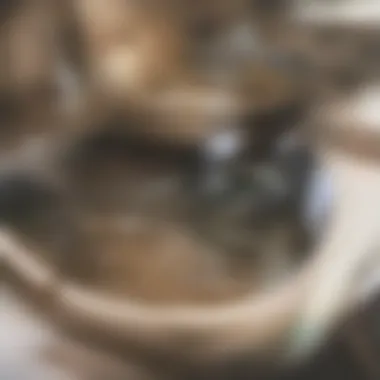 Clogged Kitchen Sink A close-up of a clogged kitchen sink with standing water