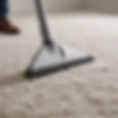 Close-up of gentle cleaning technique on a white rug