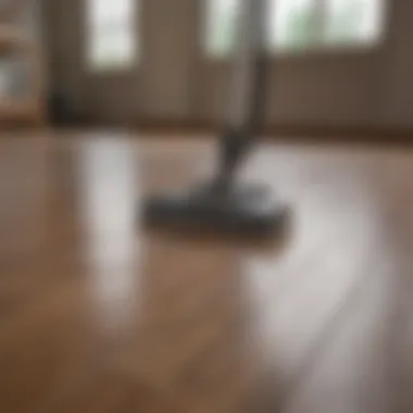 Effective Cleaning Technique Demonstrating effective cleaning technique on laminate flooring