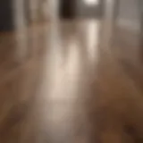 Spotless laminate floor showcasing shine