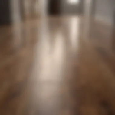 Spotless Laminate Floor Spotless laminate floor showcasing shine
