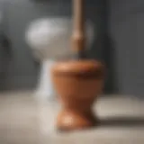 A plunger positioned ready to unclog a toilet