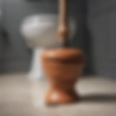 Plunger Ready for Action A plunger positioned ready to unclog a toilet