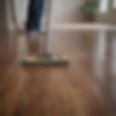 Alternative cleaning methods for laminate floors