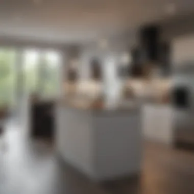 Modern Kitchen in an Affordable Apartment Modern kitchen in an affordable apartment setting