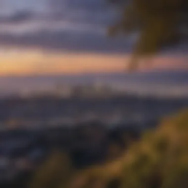 Panoramic view of Los Angeles skyline from Runyon Canyon
