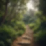 Scenic view of Runyon Canyon trails with lush greenery