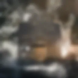 Charming historic architecture in Dupont Circle