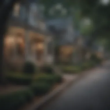 Quaint Neighborhood Ambiance Charming Atlanta neighborhood street