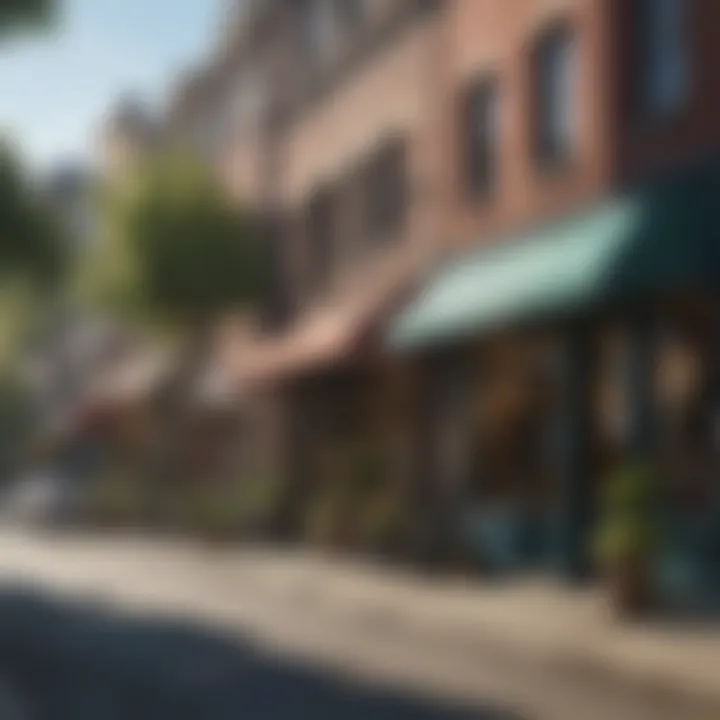 Vibrant street view of Georgetown with local shops