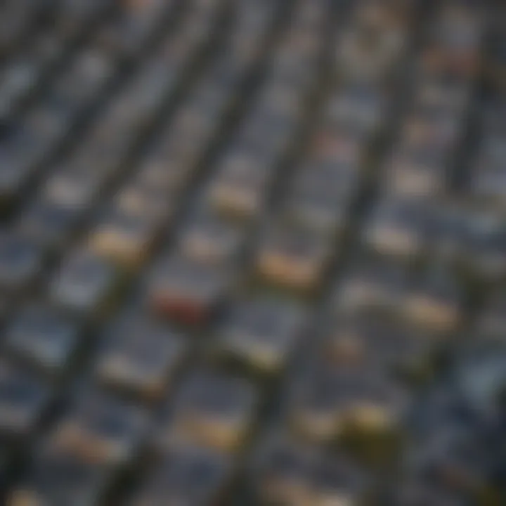 Aerial view of Noe Valley showcasing residential homes