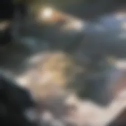 Historic architecture showcasing the grandeur of D.C.