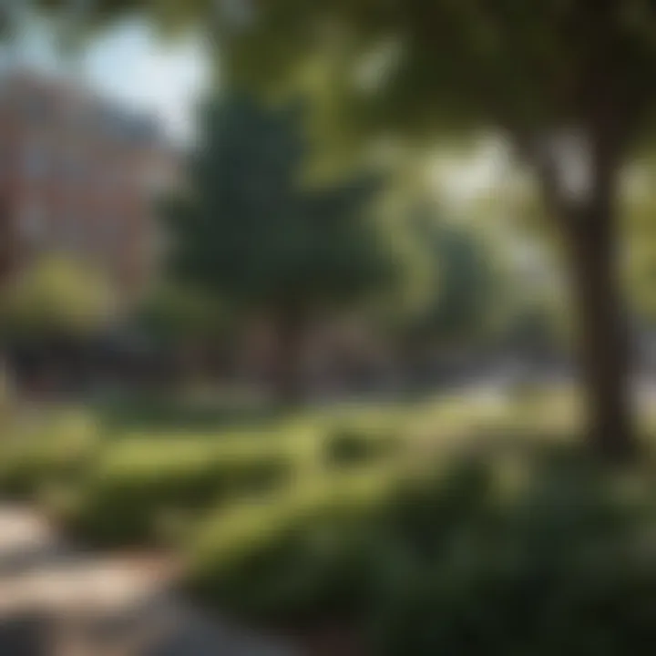 A lush park setting that reflects the community spirit in Logan Circle
