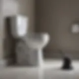 A stylish big toilet plunger with ergonomic design.