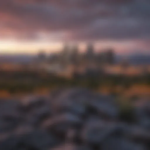 A panoramic view of Denver's skyline