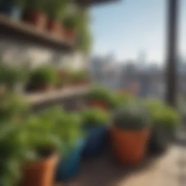 Balcony Garden with Vibrant Vegetables An assortment of vibrant vegetables thriving in colorful pots on a sunny balcony