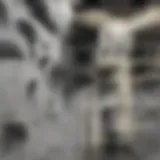 Elegant display of paintings on a textured drywall