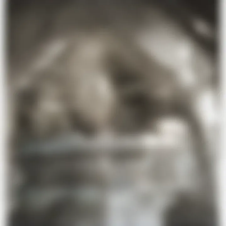 Visual alignment of paintings for aesthetic balance