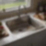 A clear view of a clogged kitchen sink with visible debris.