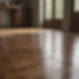 A gleaming hardwood floor reflecting natural light