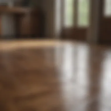 Gleaming Hardwood Floor A gleaming hardwood floor reflecting natural light