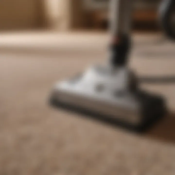 Essential tools for carpet cleaning