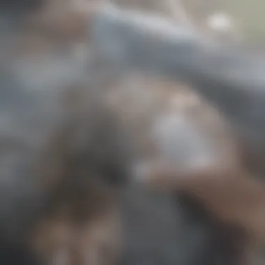 A homeowner examining a clogged drain