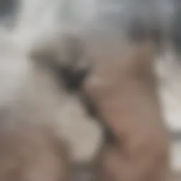 Precision tool for stud detection