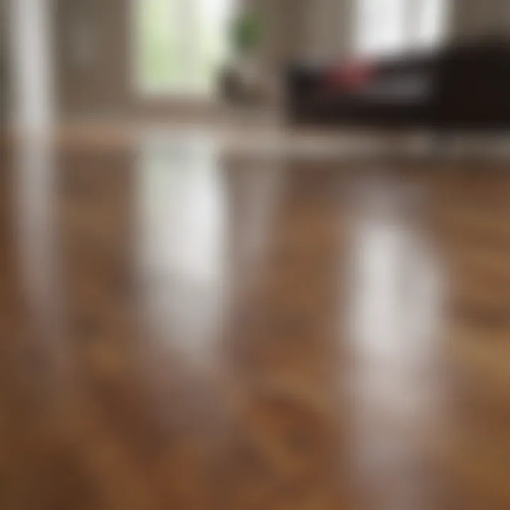 A pristine hardwood floor showcasing cleanliness