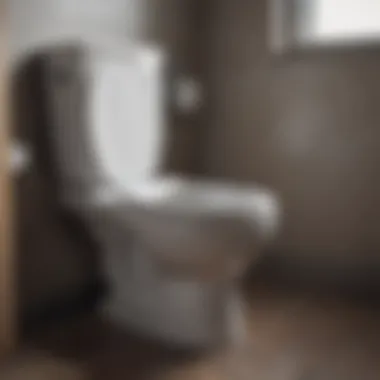 A toilet with a visible clog