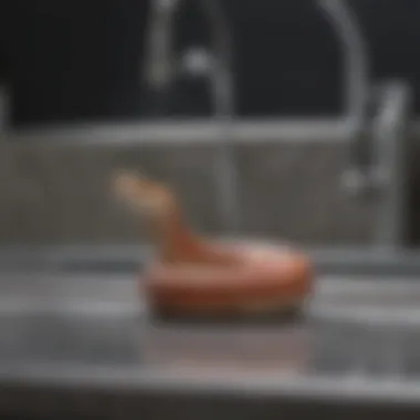 Close-up of a plumber's snake in action