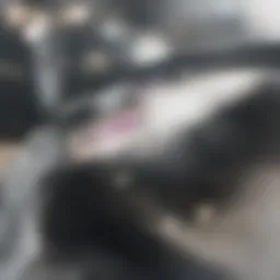 Clean washing machine drum with sparkling surface