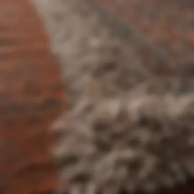 Detailed view of a rug's texture and fibers