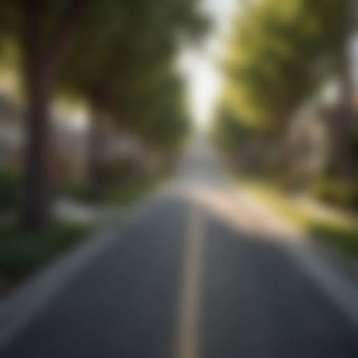 Charming neighborhood street lined with trees